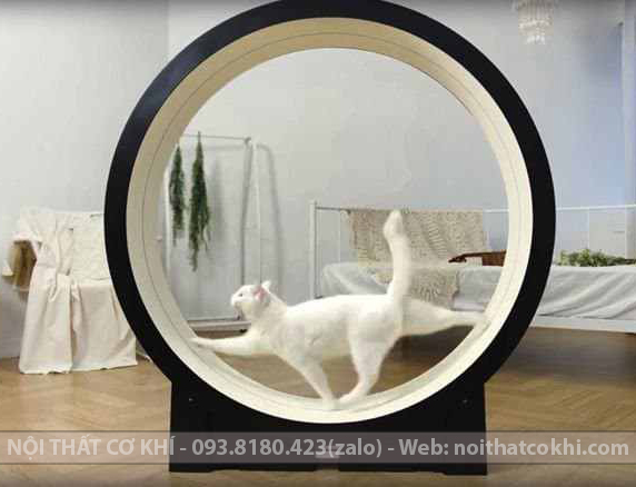 máy chạy bộ cho mèo catwhell